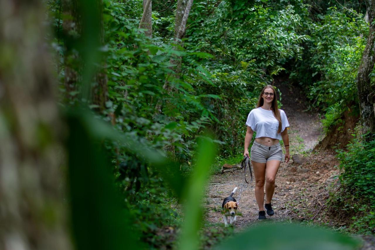 Rinconcito Lodge Hacienda Santa Maria Ngoại thất bức ảnh