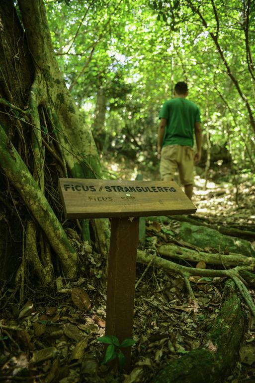 Rinconcito Lodge Hacienda Santa Maria Ngoại thất bức ảnh