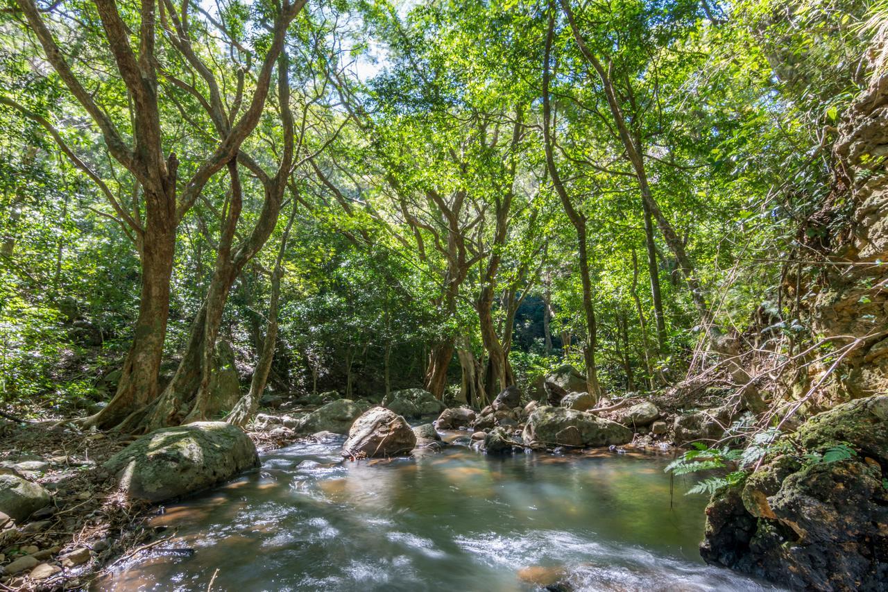 Rinconcito Lodge Hacienda Santa Maria Ngoại thất bức ảnh
